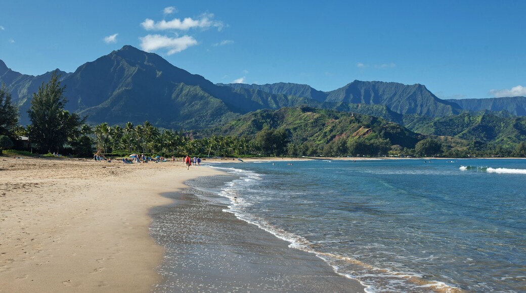 Beachgoers at Hanalei Bay, Kauai