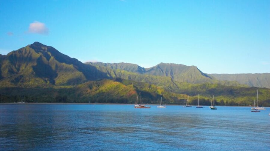 Hanalei Bay