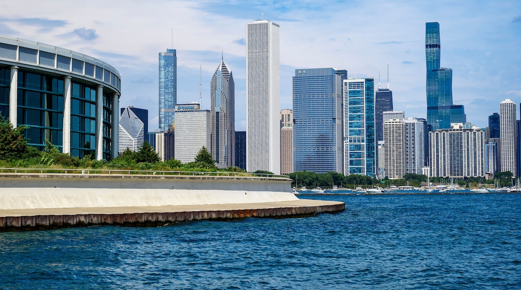 Beautiful Chicago Skyline. Gorgeous photo of a Chicago Skyline as viewed from the Museum Campus Lakefront Trail.