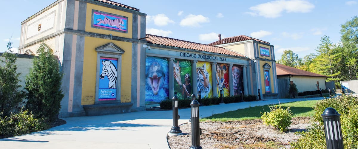 Chicago_BrookfieldZoo_6064025_08