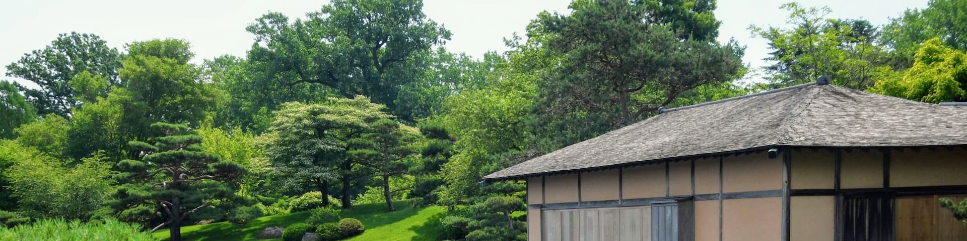 A walk through the Japanese garden at the Botanic garden
#lifeatexpedia