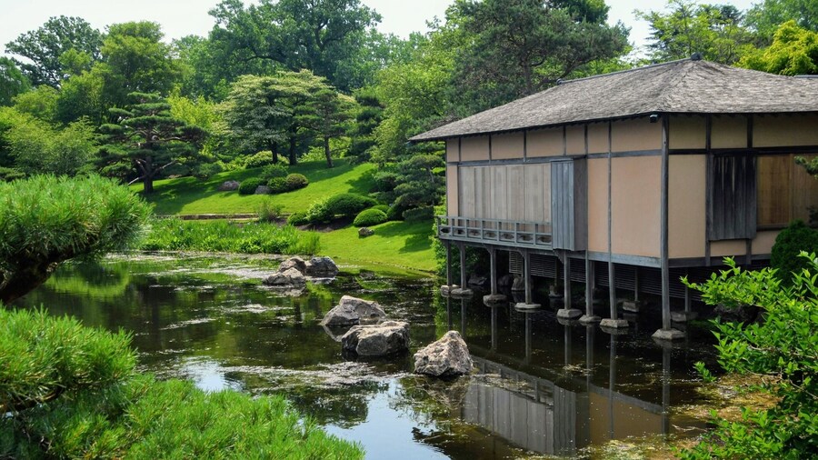 A walk through the Japanese garden at the Botanic garden
#lifeatexpedia