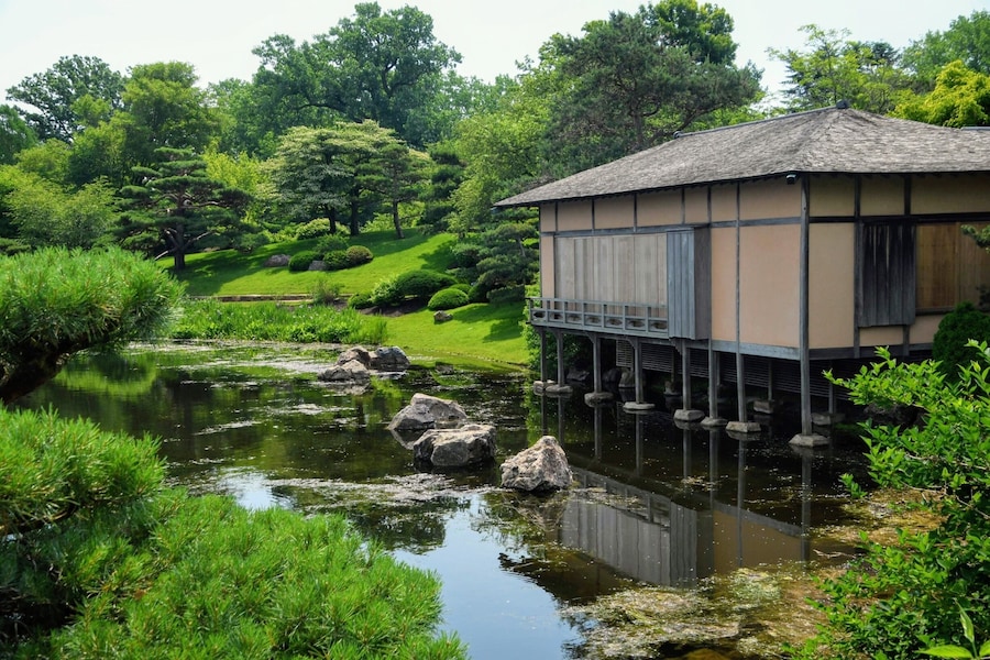 Serene Japanese Garden in Chicago Botanic Garden with a traditional teahouse overlooking a peaceful pond and lush green landscape.