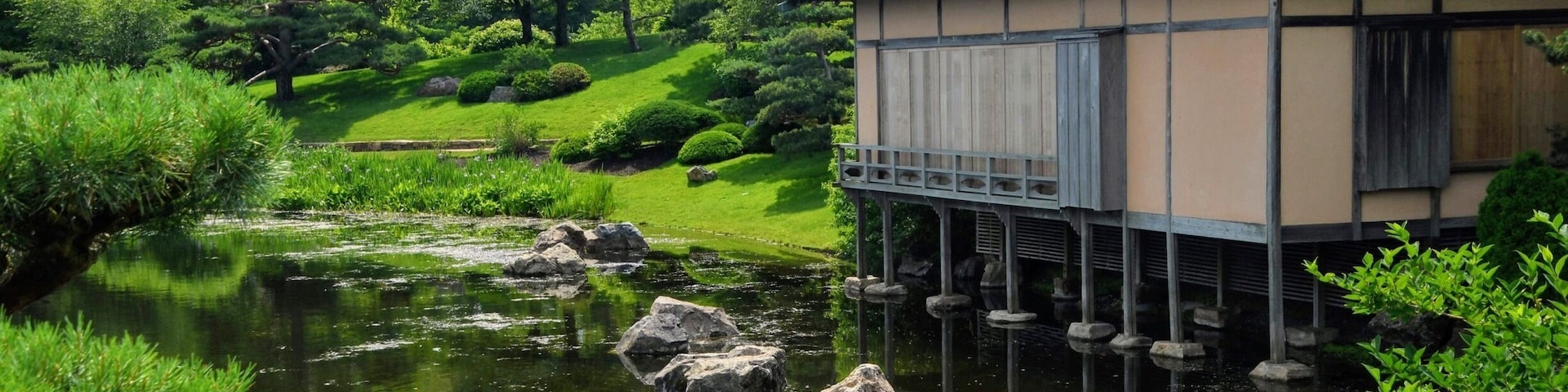 A walk through the Japanese garden at the Botanic garden
#lifeatexpedia
