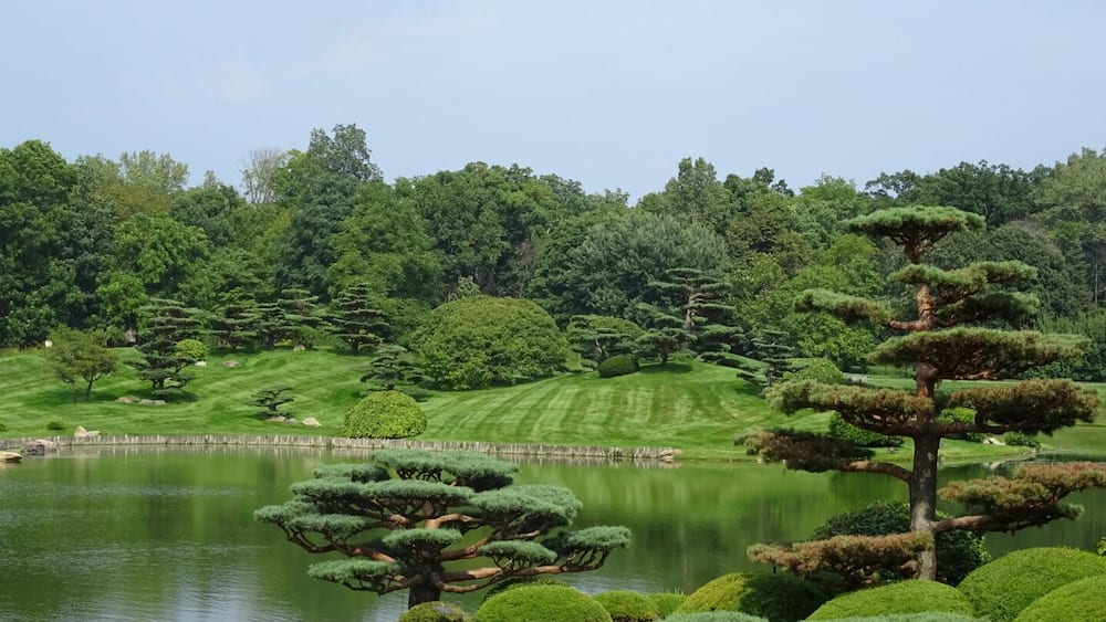 Un paysage paisible avec un étang, des arbres taillés avec soin et une colline couverte d’herbe.
