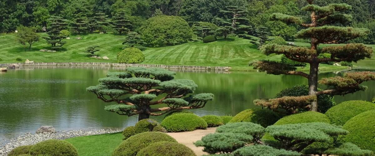 The Elizabeth Hubert Malott Japanese Garden
One of many, many scenic vistas to be found while strolling through the Chicago Botanic Gardens.
Looking for an escape from the usual tourists activities while visiting Chicago? Located about 30 miles north of the City, the Gardens are absolutely worth the effort to get there.
The Chicago Botanic Garden opened a little more than 40 years ago. Last year, more than one million people visited the Garden's 26 gardens and four natural areas, uniquely situated on 385 acres on and around nine islands, with six miles of lake shoreline. The Garden also has a renowned Bonsai Collection.
#colorful