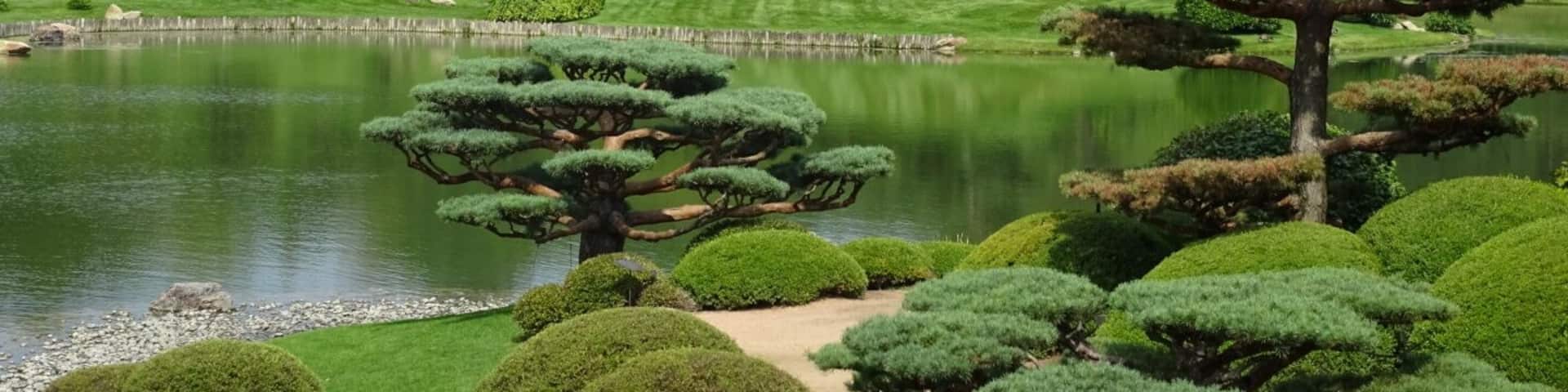 The Elizabeth Hubert Malott Japanese Garden
One of many, many scenic vistas to be found while strolling through the Chicago Botanic Gardens.
Looking for an escape from the usual tourists activities while visiting Chicago? Located about 30 miles north of the City, the Gardens are absolutely worth the effort to get there.
The Chicago Botanic Garden opened a little more than 40 years ago. Last year, more than one million people visited the Garden's 26 gardens and four natural areas, uniquely situated on 385 acres on and around nine islands, with six miles of lake shoreline. The Garden also has a renowned Bonsai Collection.
#colorful
