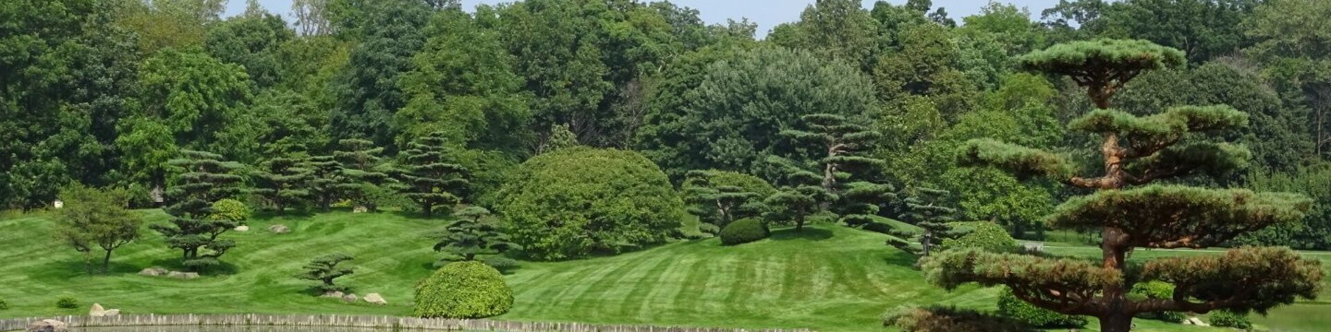 The Elizabeth Hubert Malott Japanese Garden
One of many, many scenic vistas to be found while strolling through the Chicago Botanic Gardens.
Looking for an escape from the usual tourists activities while visiting Chicago? Located about 30 miles north of the City, the Gardens are absolutely worth the effort to get there.
The Chicago Botanic Garden opened a little more than 40 years ago. Last year, more than one million people visited the Garden's 26 gardens and four natural areas, uniquely situated on 385 acres on and around nine islands, with six miles of lake shoreline. The Garden also has a renowned Bonsai Collection.
#colorful