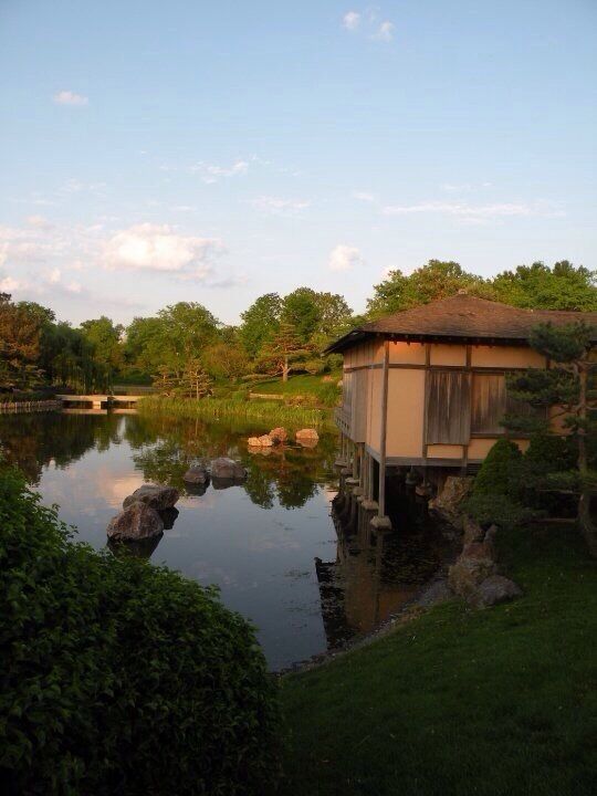 A calm warm sunset in the Japanese garden.