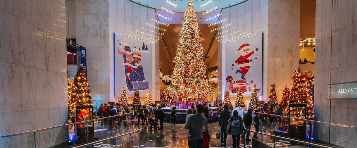 Chicago Museum of Science and Industry which includes shopping and interior views as well as a large group of people