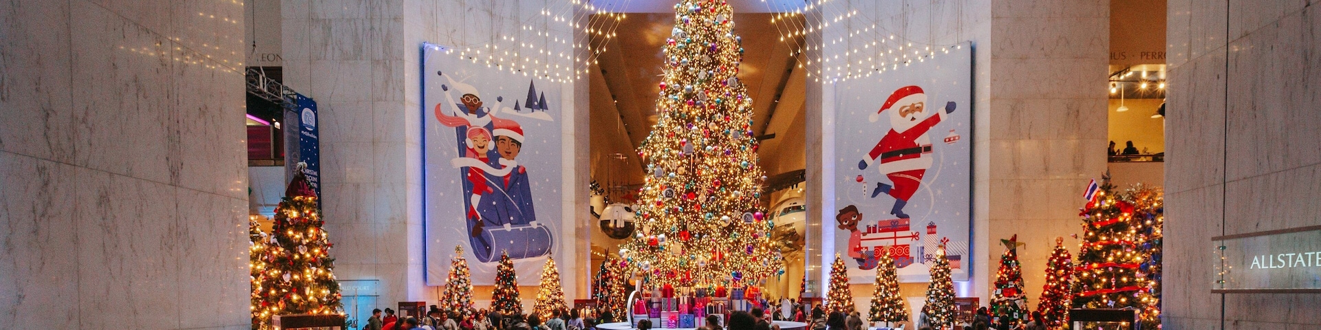Chicago Museum of Science and Industry which includes shopping and interior views as well as a large group of people