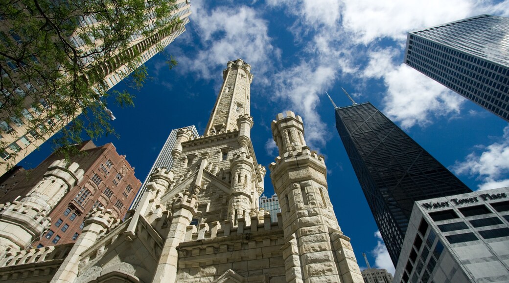 Old Water Tower, Chicago