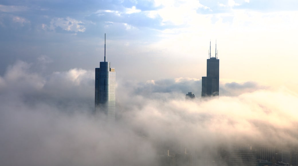 Willis Tower showing central business district, mist or fog and a high rise building