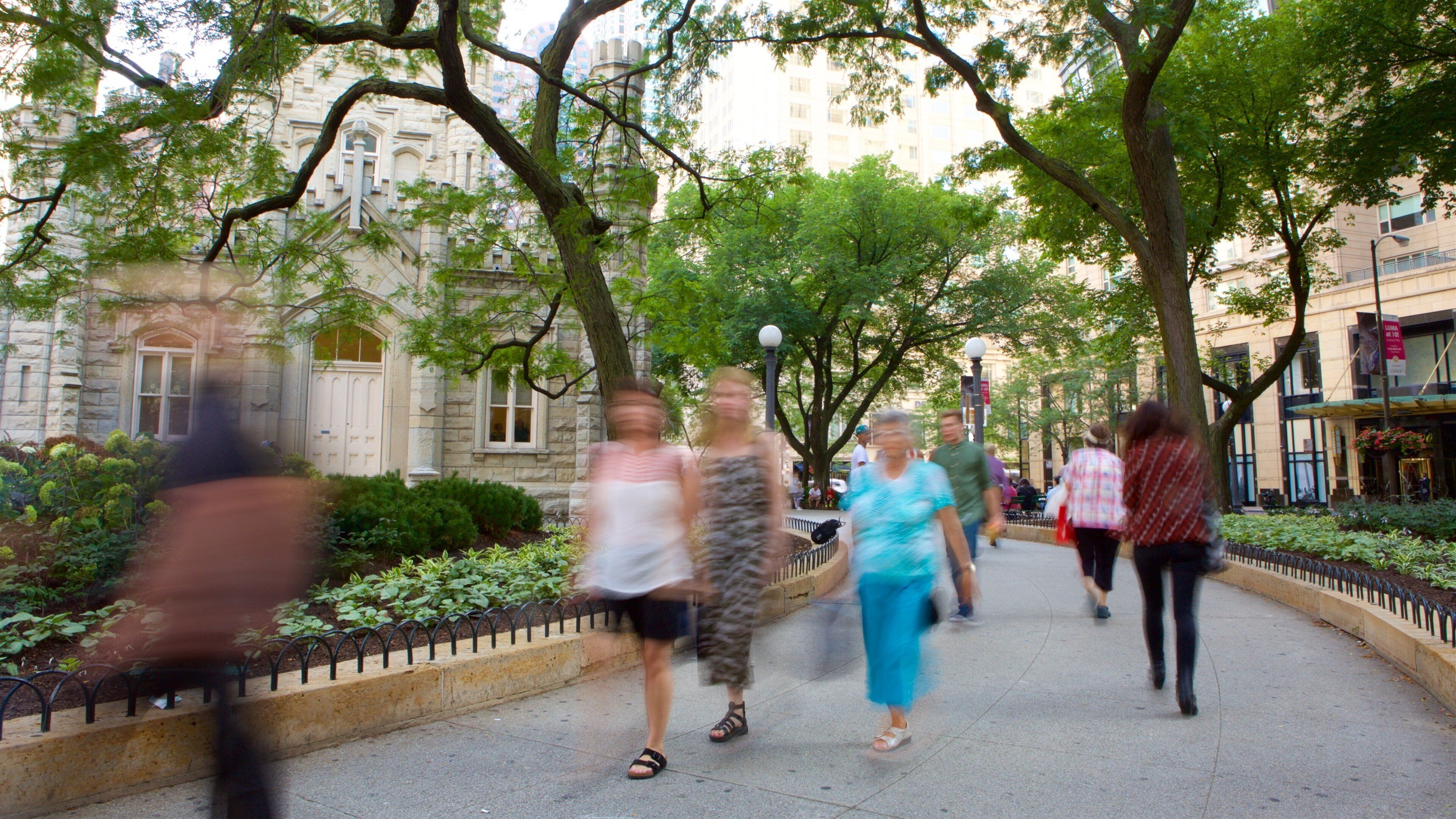 Water Tower Place que incluye escenas cotidianas