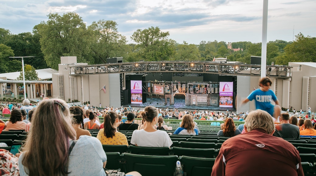 The Muny Theater which includes performance art, music and theater scenes