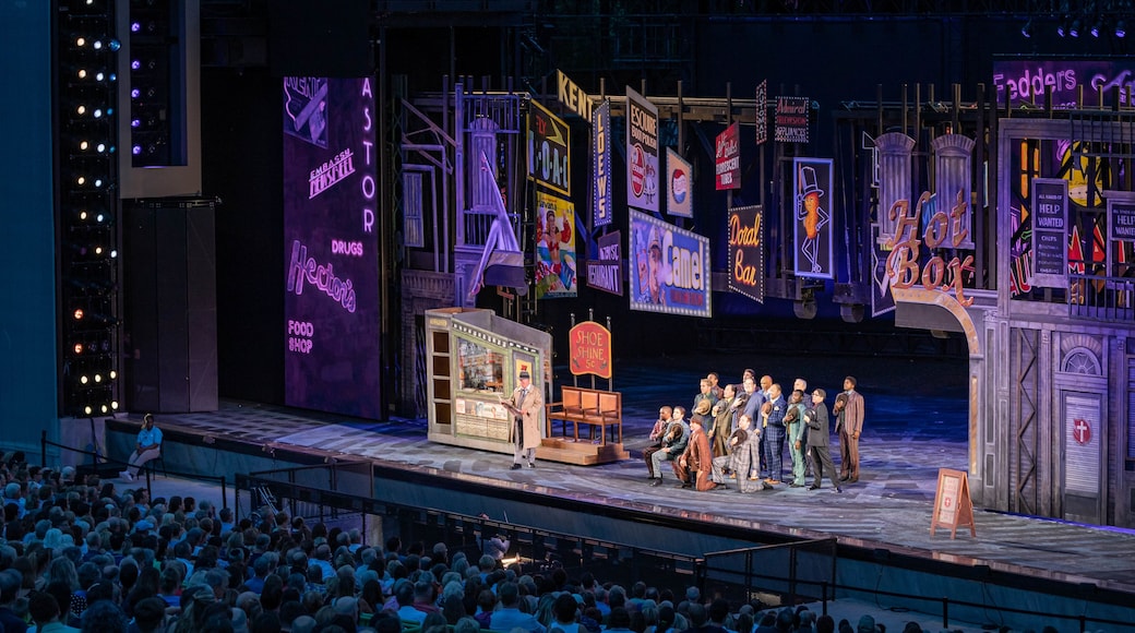 The Muny Theater showing theater scenes and performance art as well as a small group of people