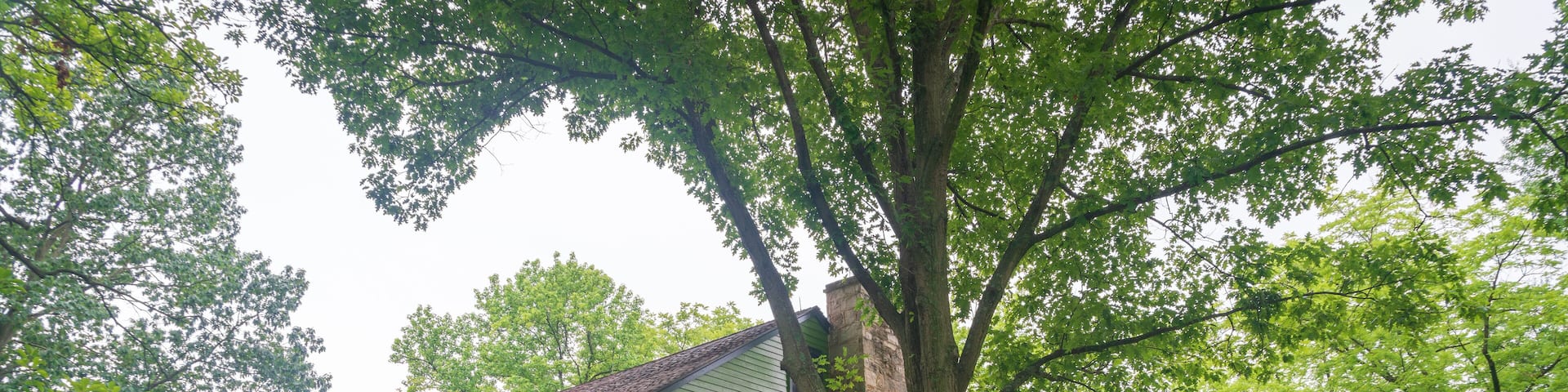 A green two-story house with a balcony, surrounded by lush trees and a well-maintained lawn.