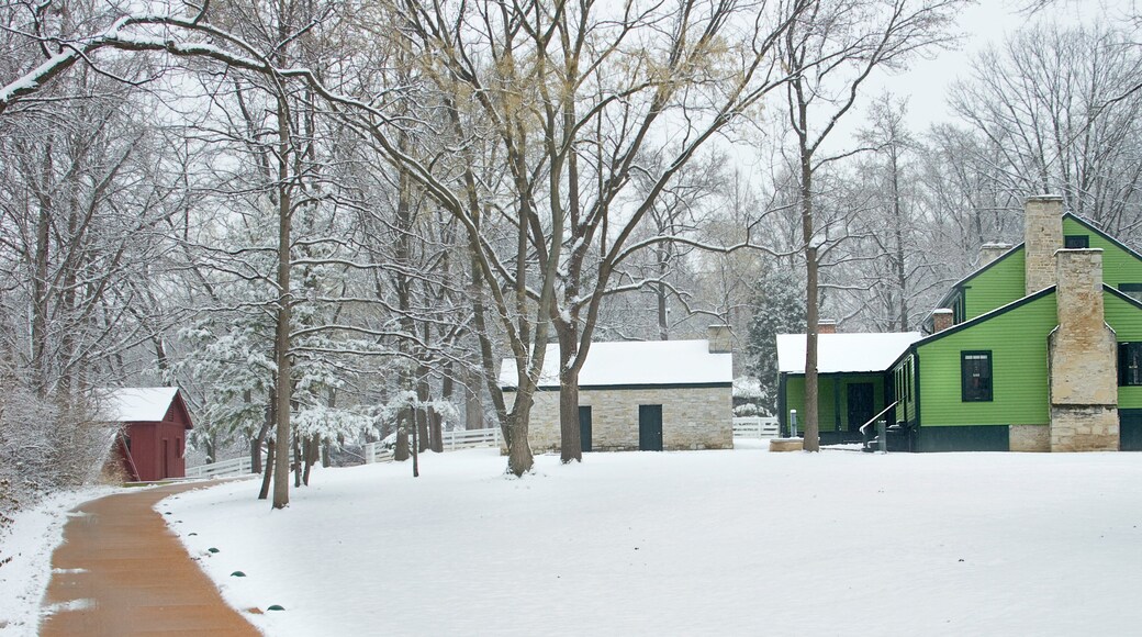 Ulysses S. Grant National Historic Site showing a small town or village and snow