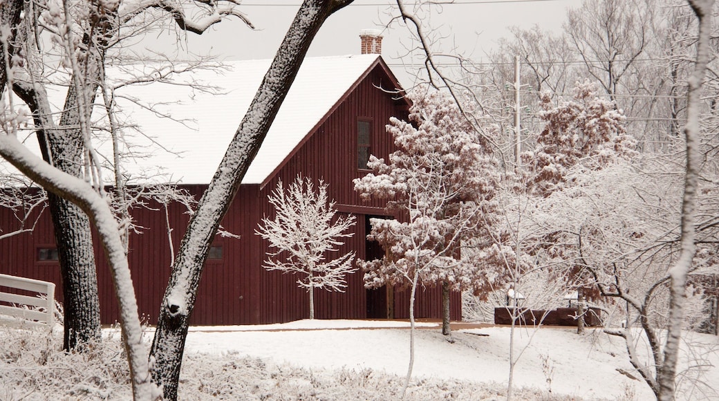 Ulysses S. Grant National Historic Site showing snow and a small town or village