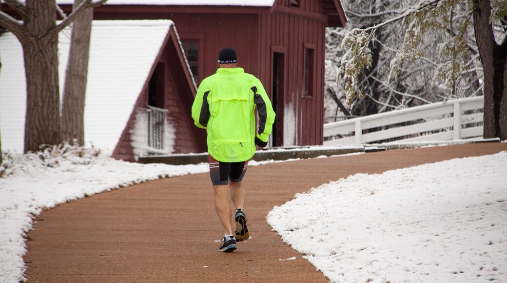 Ulysses S. Grant National Historic Site which includes snow as well as an individual male