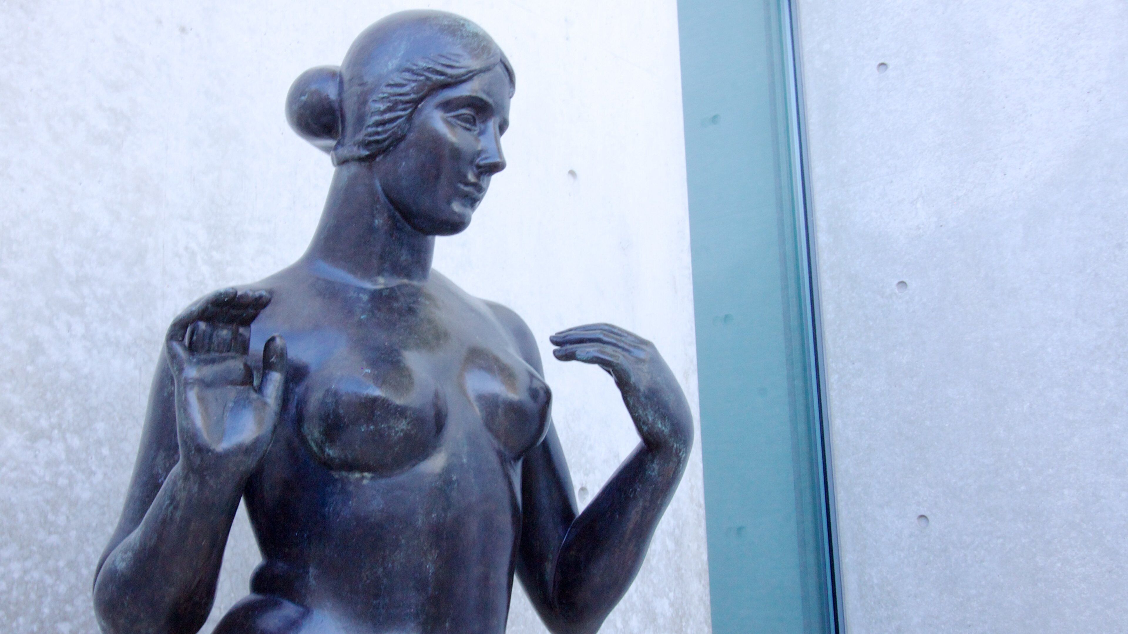 Pulitzer Foundation for the Arts