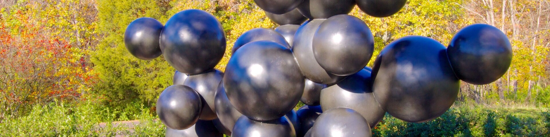 Laumeier Sculpture Park showing autumn leaves, a park and outdoor art