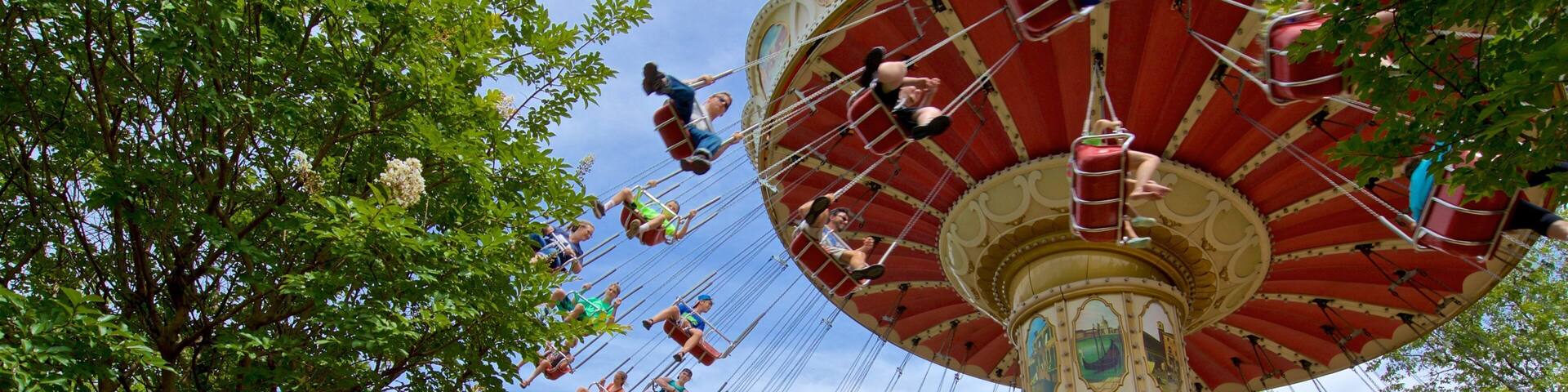 Silver Dollar City showing rides as well as children