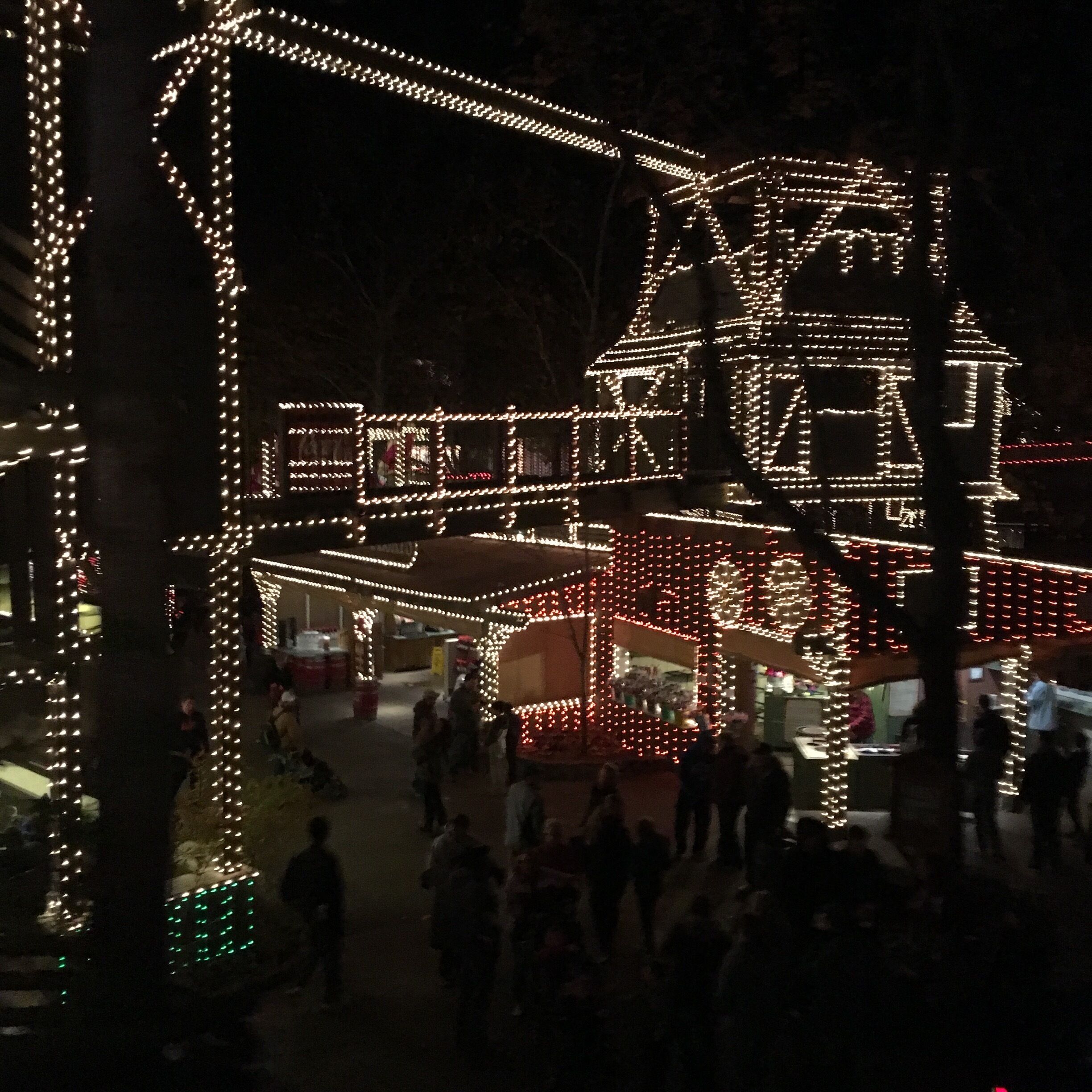 Christmas lights at SDC