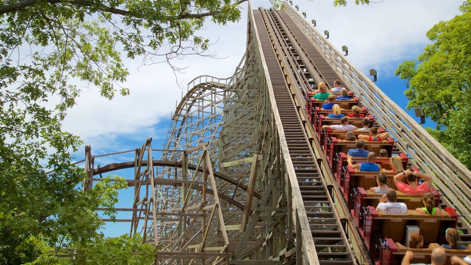 A wooden roller coaster with a steep drop and a large loop, surrounded by trees.