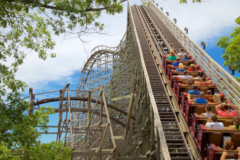 A wooden roller coaster with a steep drop and a large loop, surrounded by trees.