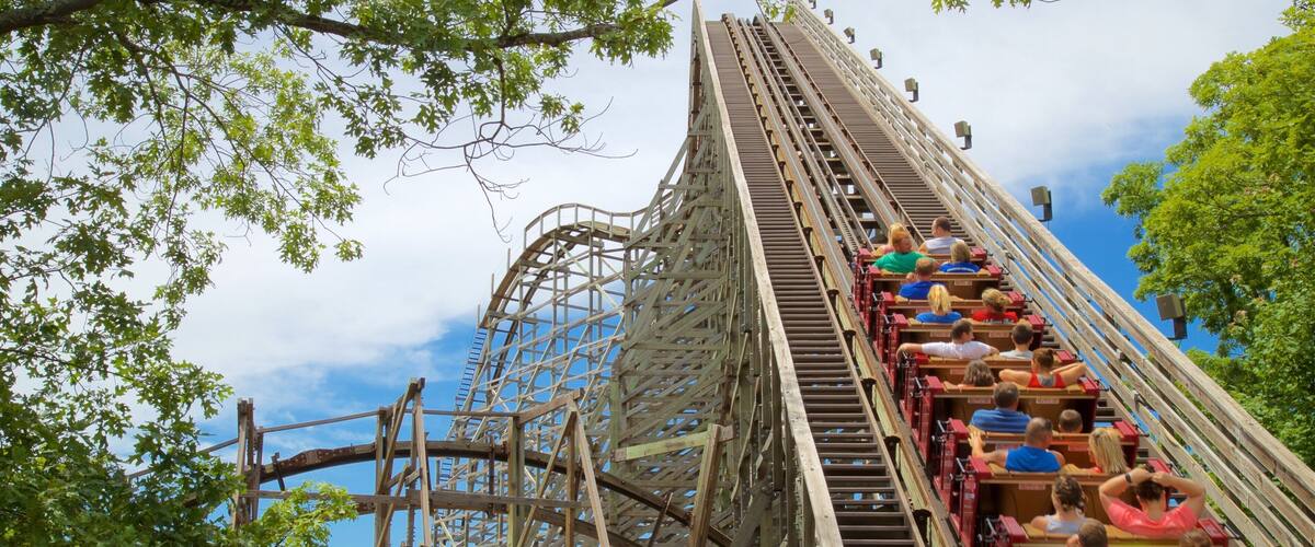 A wooden roller coaster with a steep drop and a large loop, surrounded by trees.
