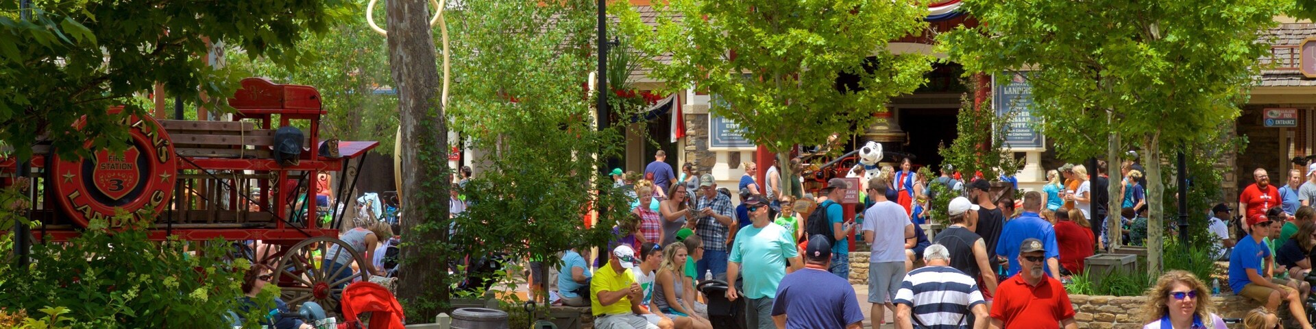 Silver Dollar City featuring rides as well as a large group of people