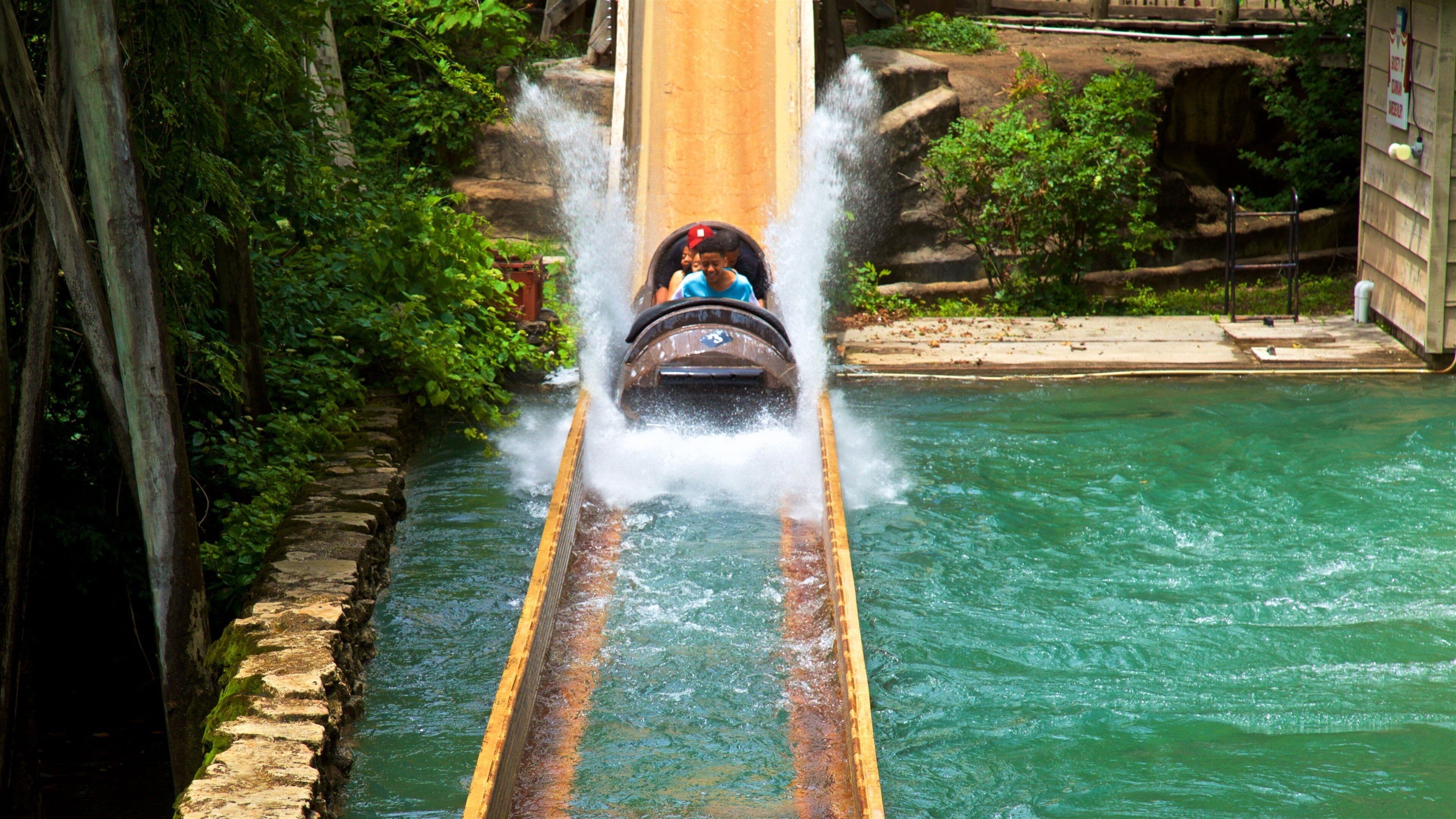 Silver Dollar City ofreciendo un parque acuático y también una familia