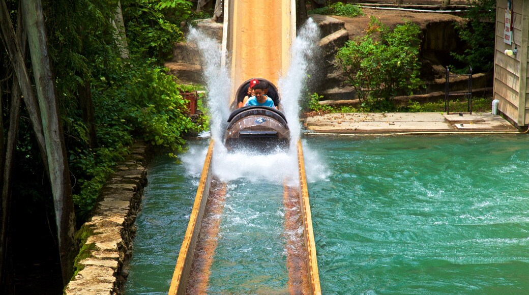 Silver Dollar City ofreciendo un parque acuático y también una familia