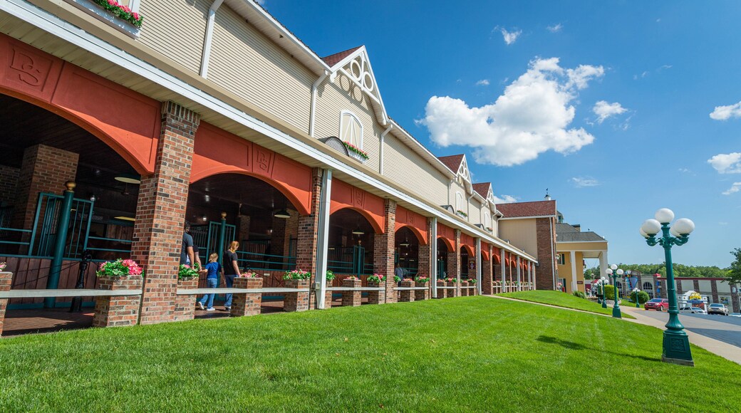 Dolly Parton\'s Stampede Dinner Attraction