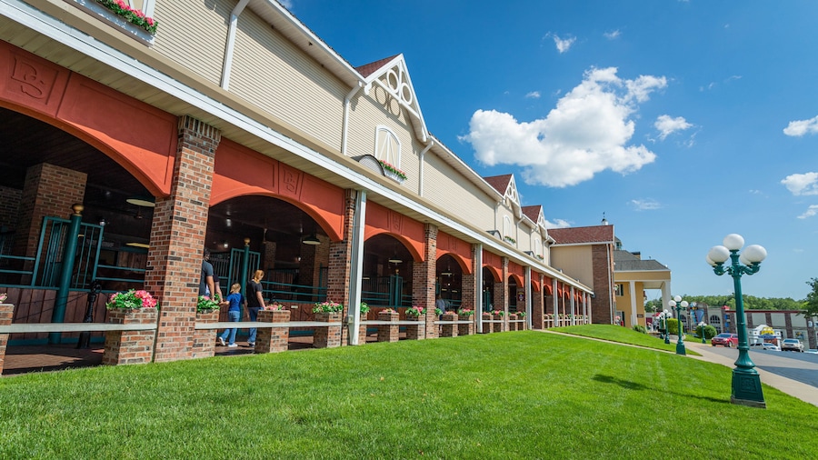 Dolly Parton\'s Stampede Dinner Attraction