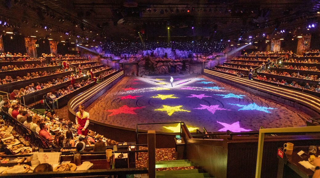 Dolly Parton\'s Stampede Dinner Attraction showing performance art, interior views and theater scenes