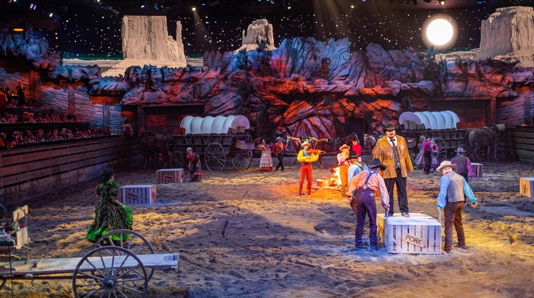 Dolly Parton\'s Stampede Dinner Attraction