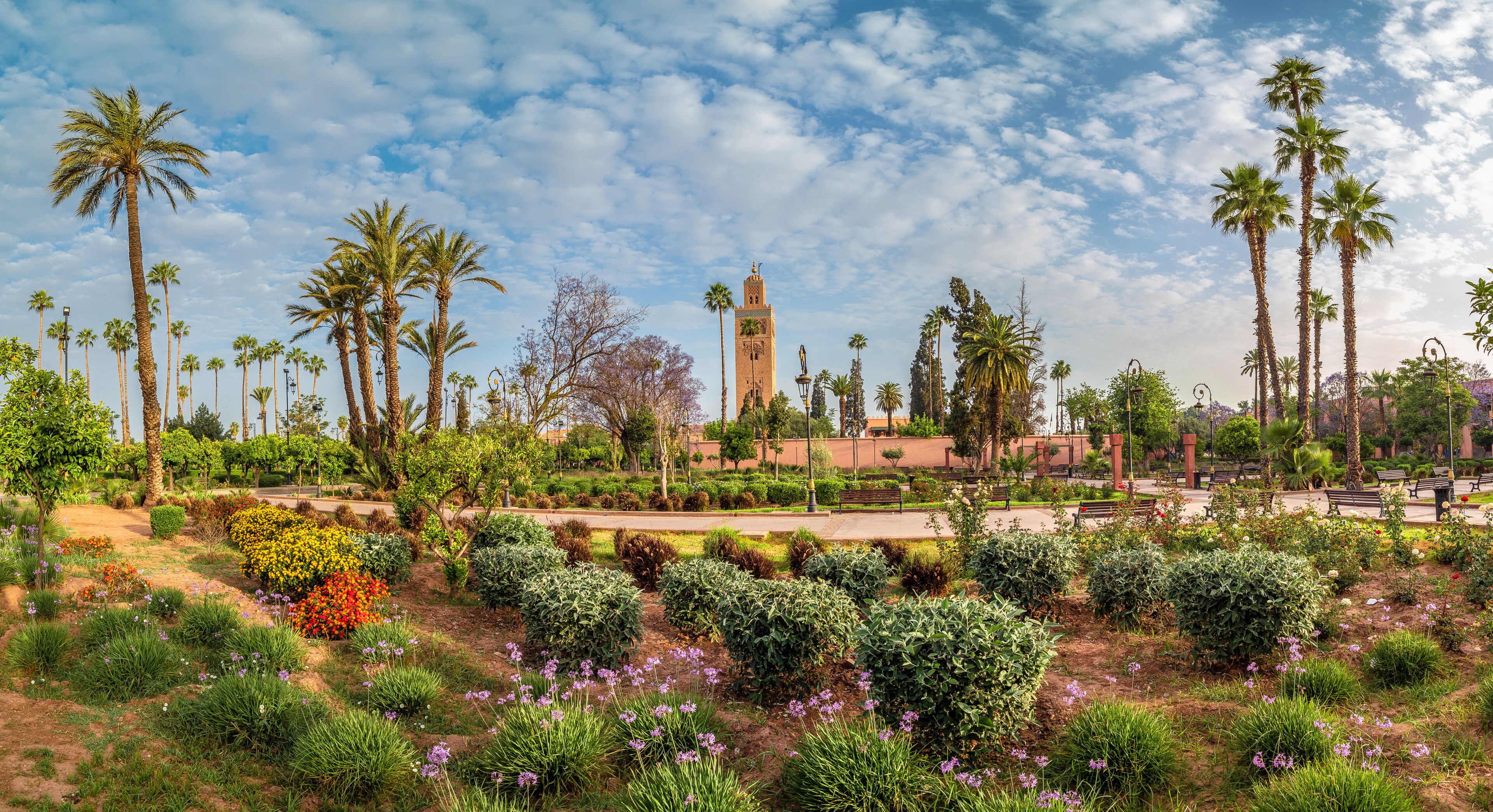 Landscape with garden and  Koutoubia Mosque on Marrakesh, Morocco