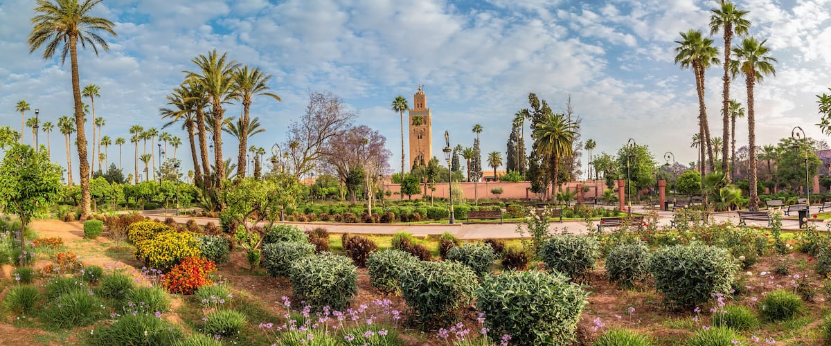 Landscape with garden and Koutoubia Mosque on Marrakesh, Morocco