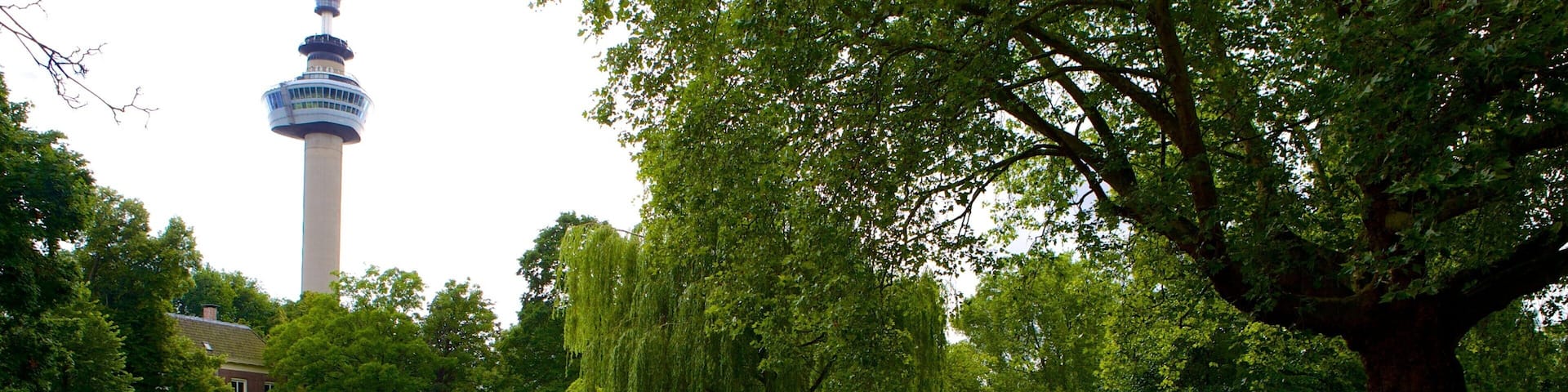 Euromast mettant en vedette parc, panoramas et lac ou étang