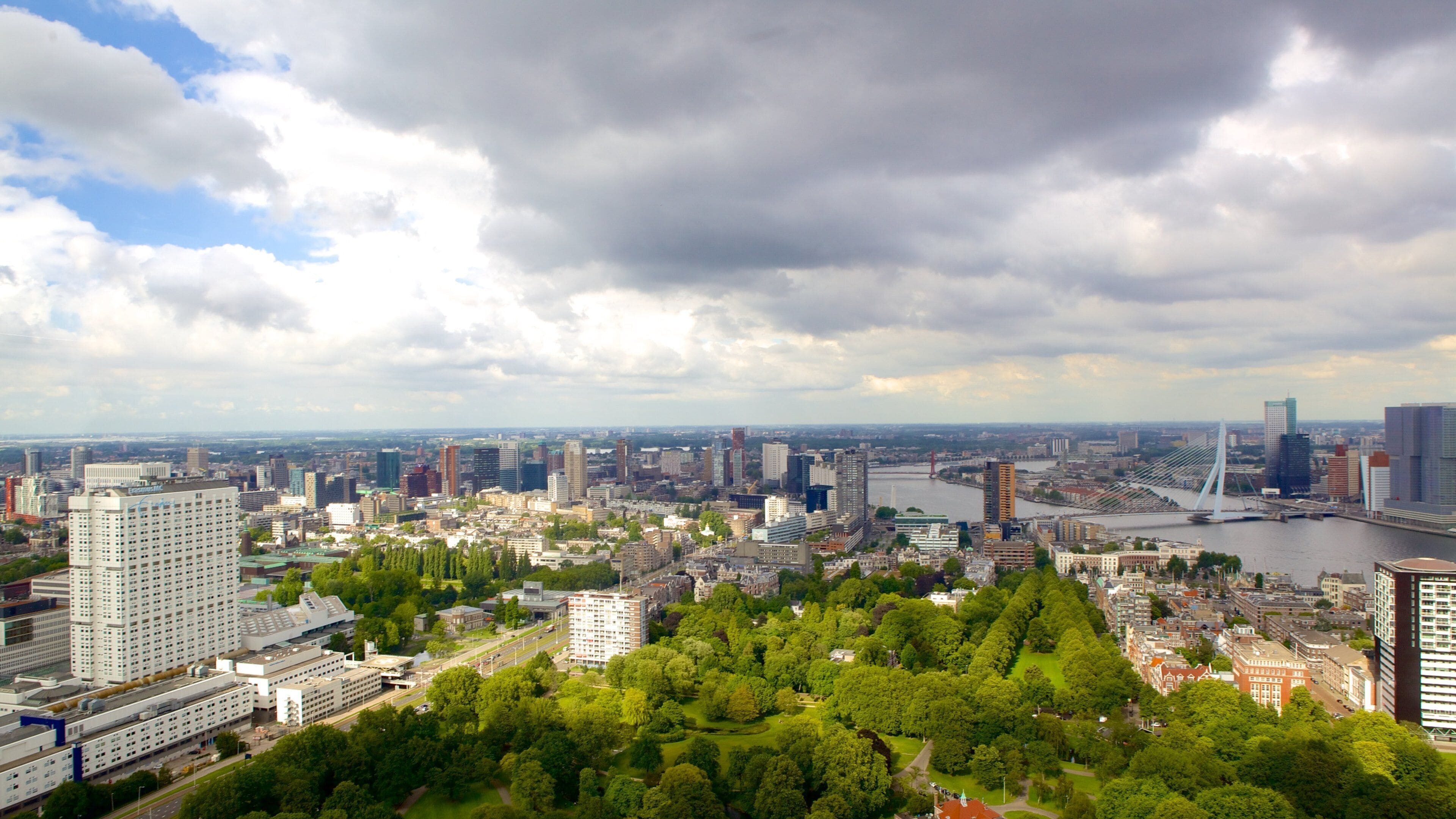 Euromast showing a city and a high rise building