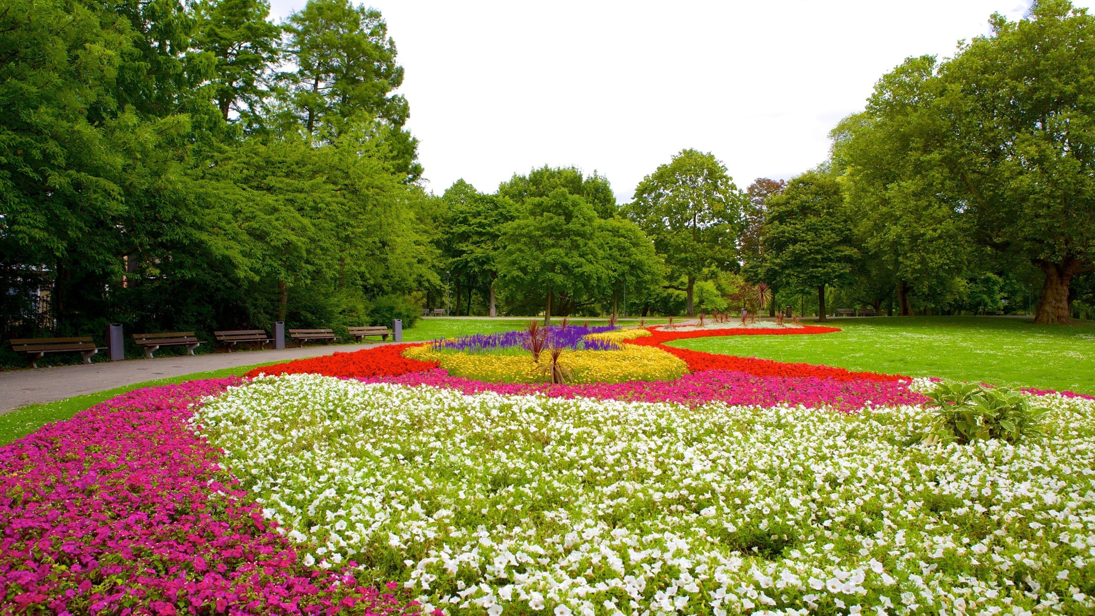 Euromast mostrando flores y un parque