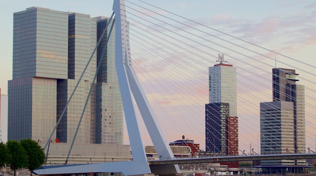 Erasmus Bridge showing skyline, a skyscraper and a sunset