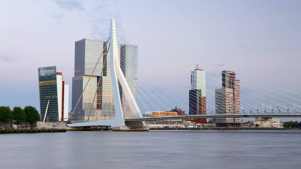 A modern bridge with a distinctive white arch and cables, spanning a river with high-rise buildings in the background.