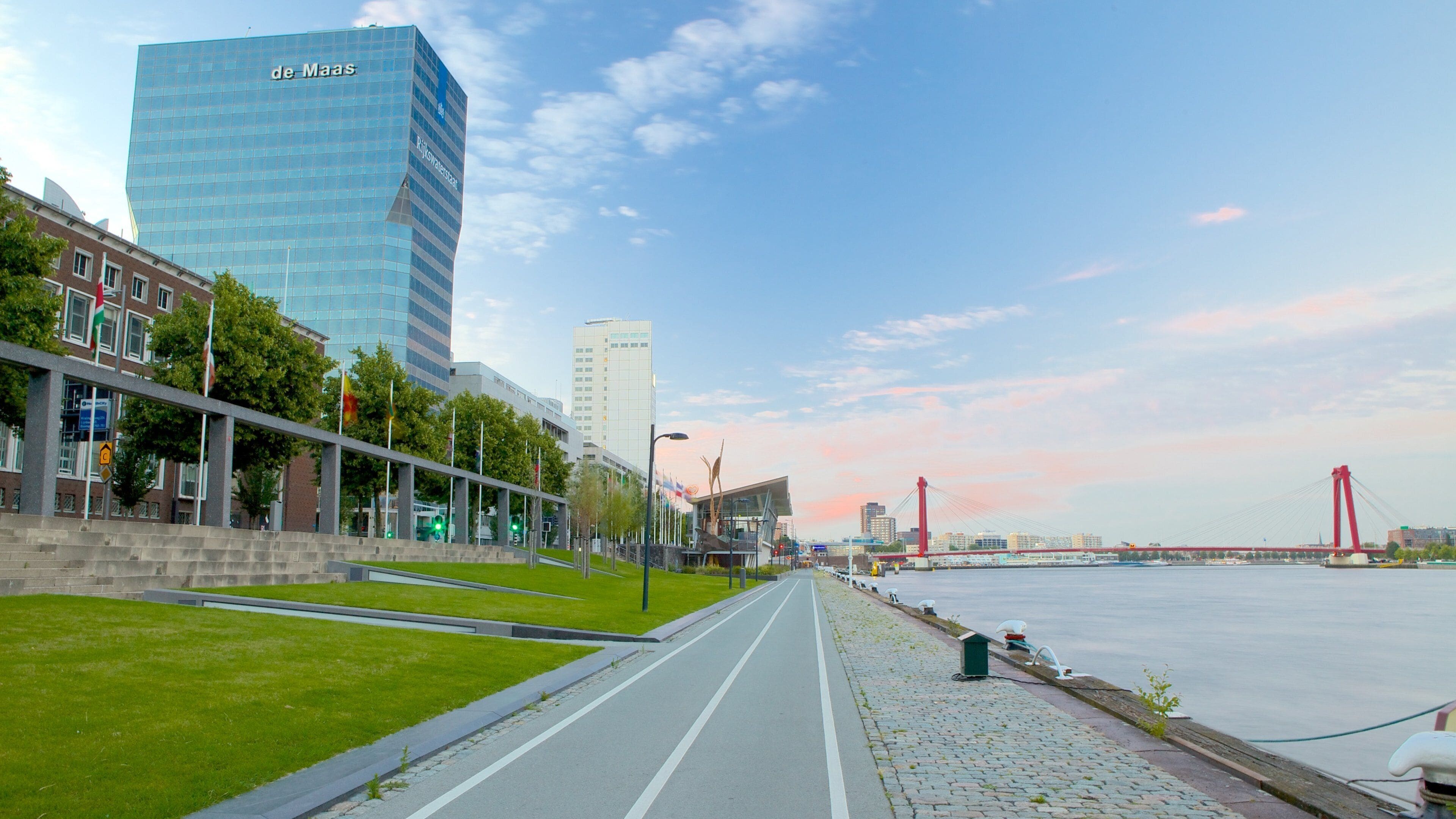 Erasmusbrücke welches beinhaltet CBD, moderne Architektur und Hängebrücke oder Baumkronenpfad