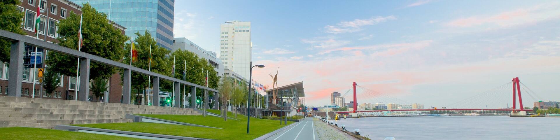 Erasmus Bridge which includes central business district, a suspension bridge or treetop walkway and a river or creek