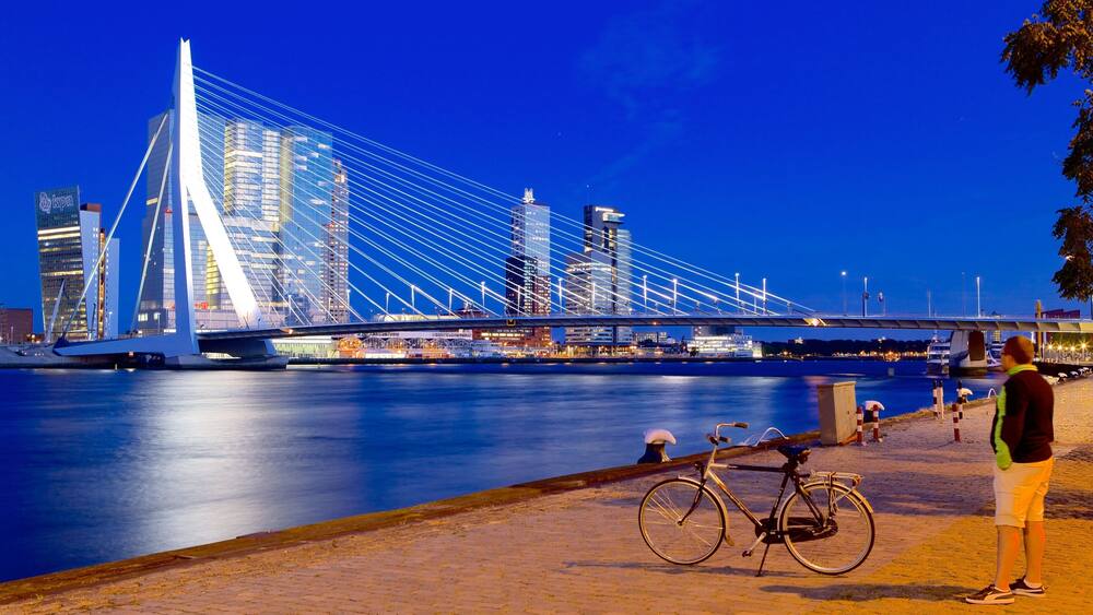 Erasmus Bridge which includes night scenes, cycling and a bridge