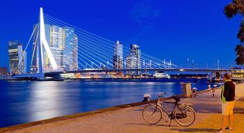 Erasmus Bridge which includes night scenes, cycling and a bridge