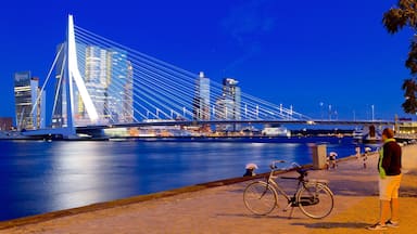 Erasmus Bridge which includes night scenes, cycling and a bridge